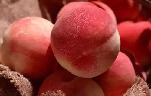 瓜摊老板吃桃子,甜蜜邂逅与人生感悟